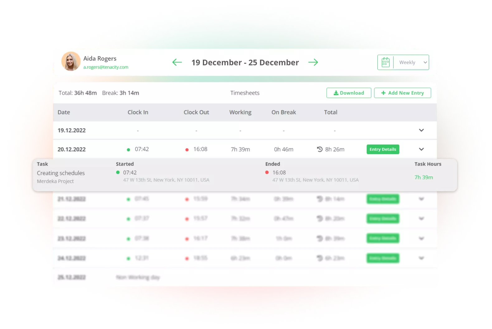 Time tracking timesheet example